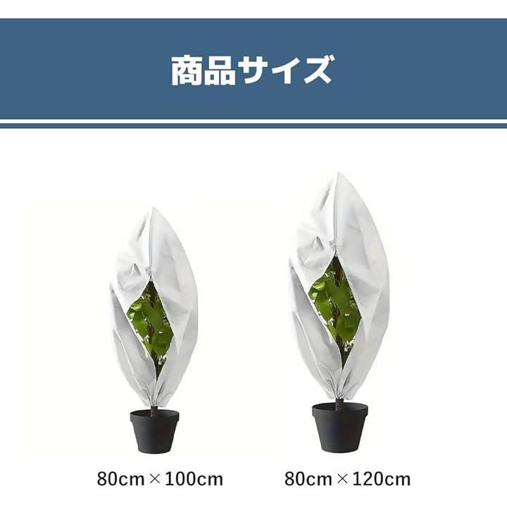 0000000003c00000ffffffffffffffcffbeffbc7f1e7fbcffbeffbefffffffff959595950000000000002b22002b2b00