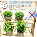 ffff7cefafff9ffffaff7fffc31fc21fc21ee73e540660046904430d6309431d00000000211a1a1a002129801c353f18