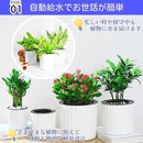 00000200ffffffbffcffe1ffd1ffe7fedff09c119c01de1bafffffffffefa3efa9a9a9a99c1c00a49c9c9c550000302b