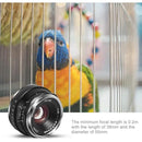 05fb053bbddf80ff00ff02ff00ff005f005f0007200f080f410f89ffc3f9e1ff1c1bbc972b20726b09221da23a006464