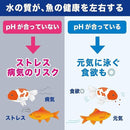 000060e1ffff84908080f7f7f7f7fffff9c3befbffffcfbb9dfdfffff0f3fbff9c9c9c9c9eef97909e9e978f9e009700