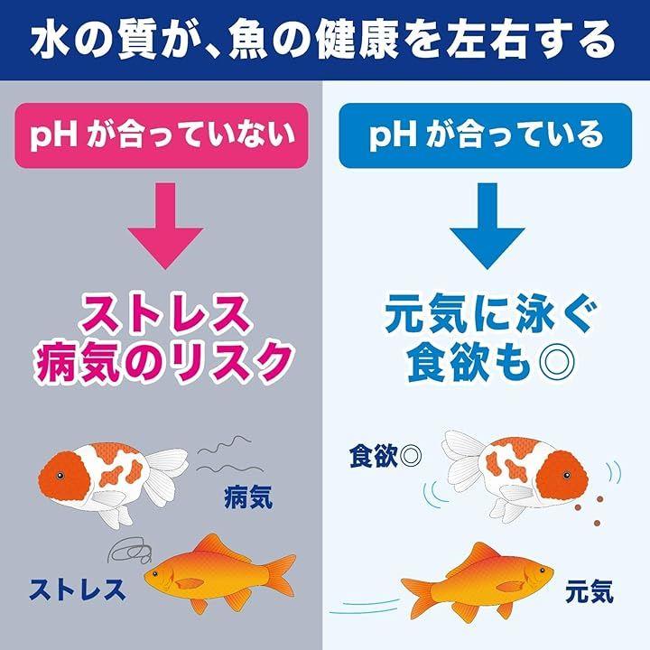 000060e1ffff84908080f7f7f7f7fffff9c3befbffffcfbb9dfdfffff0f3fbff9c9c9c9c9eef97909e9e978f9e009700