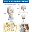 00006ceaffffffffe7f9e1fbe3fff7fff3ffe2f3f7ffffffcdf4b0c0f5e0a1e08c8c8c8c001b0033001a002b1d2b1f96