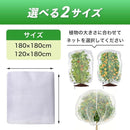 000008800180000080efffcbffffff99ff99ff99ff99fdfffde7ffc1ffc3fff760606060005600000000000000b10046