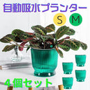 ffffc567824bfff9ffe9fc27e043000be420a417ec0cfc1c4417fe34eff48ef79c9c00009c9c00009cfd224e1c807777