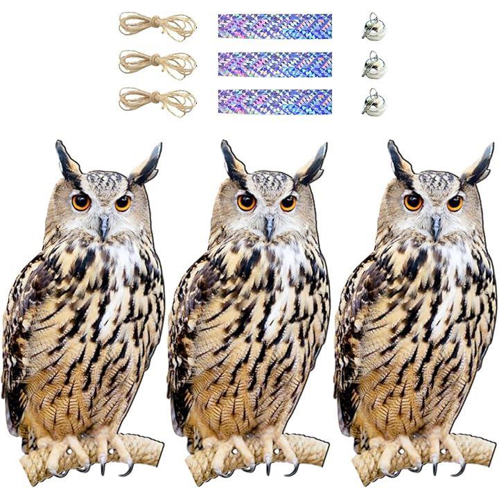 fffff297f817ffffffffdbffefd8de7af776c0509d42804584208c218461db73000000000000000000b2c11500091016