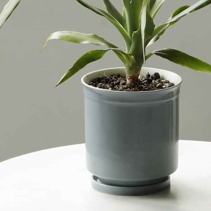 fd4fff1fff9ff9c7fe01fddcfa07ff03ff03ff03ff03ff03ff03ff83ff07ffc33131373a3030323931318064312b7b64