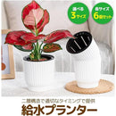 ffffbbcdb7c0d1c0d1f0860080c0e06cd0fe8fbedffefffdff9ffffff197f3c3000000000005060f009a1c00000900eb