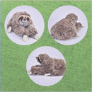 ffff9904fe3e3773434fcb0f21a2beae001093f0067486008401848003f48000d5d5d5d592e946028b4646488d48074c