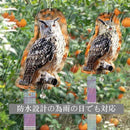 3213c42cd510cf8fd586f9df498719169907c7a1503101bf0011bfff11eb0116