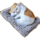 fffffffffc3ff95fd26f004784c3a161c0e0f1e0fa00f800fe03ff07ff8fffdf00000000009e9700009e8c9e00009ea4