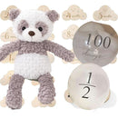 ffff9ffd9e1ae1f1ede0fdc0804000007f80fff9fdffc0c9ccd99c9d8c9fdeff0000000000090015fdeb00070000001b