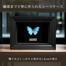 97fec0bec0fff383c017c000c000c140e143e0030000effbe00300c400002ff01524251e9e0000008b00c70010a29ca2