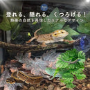 e00340030023206702f2102f043e01d25f10000305fb8fff9ff64bef585ff99f0000000015334280140e151a1006b044