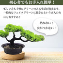 00000c08bbd7ce3fffffffffffe7c3ed04ff1c17e20fc7ff81ffc3ffc1ff81c73c3c3c3c000000003b465e009eab9292