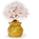 ffffffffff7ffc1ff81ff017f007f00ff87ffe7ffc3ffc3ff81ff81ff80ffc3f0000000000a21e000000120000002200