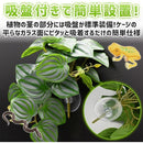 ffffffffffffd697f3a109e40067000932402100081200386034603c403c08100000000000000000eb4c271c00553346