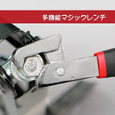 ffffffff000000001fff07ffc7ffdffe15fe1ffc7ffc09ef01c3818303030601