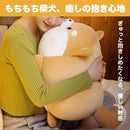 ffffffffffff35e0d3f83ff81ff81fd91ff81bf88306080f017903f381c1f8001c1c1c1c1713eb1a1f2618101b202317