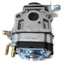 ffffffffffc3fe01f803f807f807f007e007f007f007e007e007fe07ffffffff000000000000929c00949c9c00219597