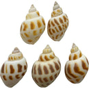 fffffffffd9ffc9ffc8ff88ff89ff9ffff77e733d201c001c423ce77ffffffff000000000000000000001f22001a2212