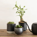 fffffffffffffeffff9fffbfffbfffbfffbfff9ff18ee104e00c0040000000001e1a221c17191b220f17121217171212