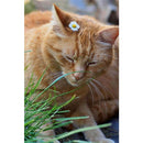 ffeefffffcfefeffff90ff8ef787f2c1f0c0a0800000e0009800b000000e199c18149af21617140e1317161525441511