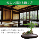 ffff0aa0000001c000008007816583668000e142f3430000fffbfff7ffc7ff8063676364080b07104c09120700000000