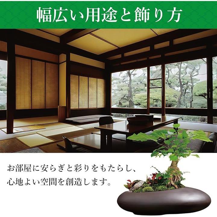 ffff0aa0000001c000008007816583668000e142f3430000fffbfff7ffc7ff8063676364080b07104c09120700000000