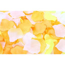 1fbfff1ffd1fbd0f8881800181070103bf831f831f5013cd47d943ef03cd01dc20dd022ffef9f01f2d14131d1c1c0c2e