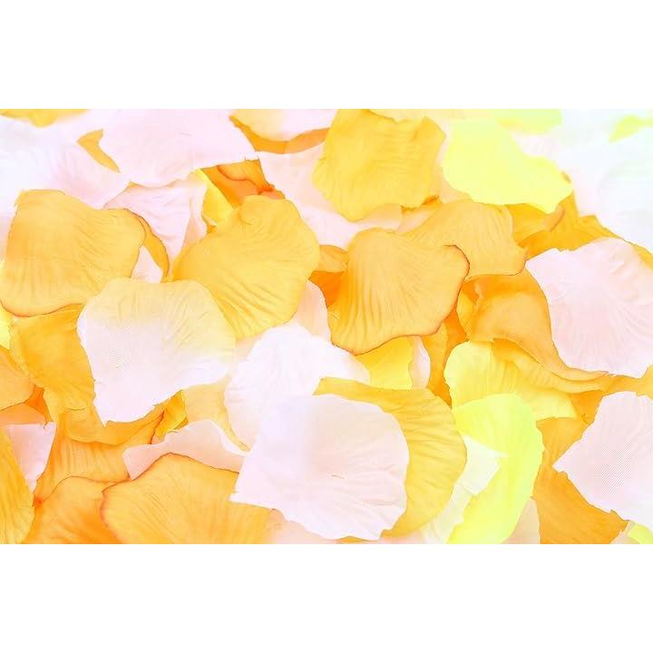 1fbfff1ffd1fbd0f8881800181070103bf831f831f5013cd47d943ef03cd01dc20dd022ffef9f01f2d14131d1c1c0c2e