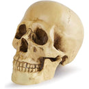 fffffffffffffc1ff007f01de007c04dc001e023c007c00fc11fc1ffffffffff00000000001c1c2100131c1a001f1bf5