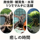 ffffca7fffffe3e7ce798416a00084a092008000800081008740c6b1fffff98f24241b321b247a841b120e721b15034a