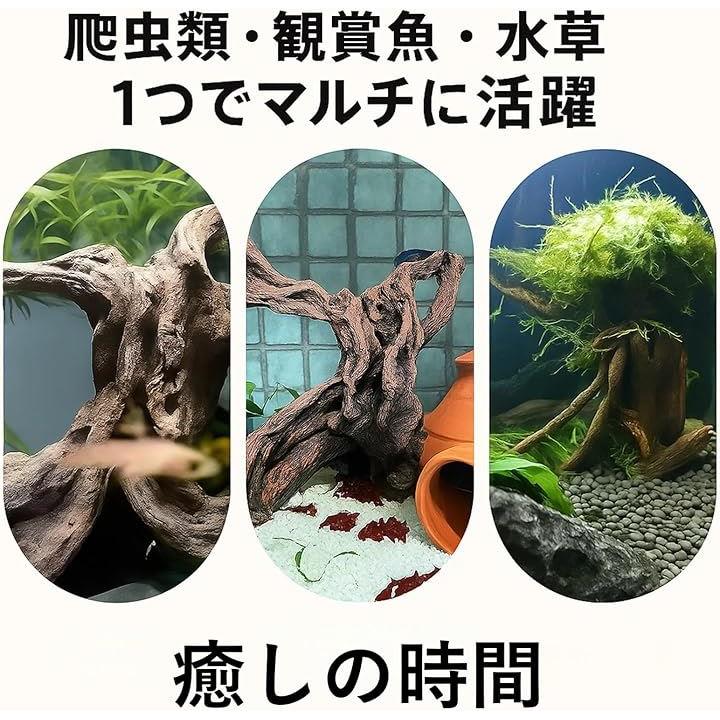 ffffca7fffffe3e7ce798416a00084a092008000800081008740c6b1fffff98f24241b321b247a841b120e721b15034a