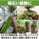 00000c70000073e7f3f7f8e0f982f0006340c1ecc120890800091c03e2da9d7f444444448e3b1833234421366b332b35