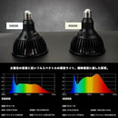 3ff8fffcfff6f7f7f7e7f3d3c5c1c1c1c3e300000000003c3c3e00000000624200eb1ceb0000006b1c001b0000260026