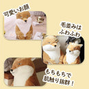 fffffbffdaffe17ffe7fec7be1ebe358ff66ffe8ff6c800c887fbc7f9c3fd87329202020290b101e29201a17291c0b20