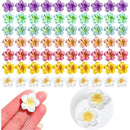 ffff9492b016f6ff94929010f6ff84928090d4939492ffffdbf79bff03ef07ff00d500d50046006e001f2b1a00b3001e