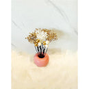 fffffffffffffffffffffedffd03f005f83ff007c87ff83ffe7f7fff6f4fb49f5e3c3c3c757575752b241e301d1c161c