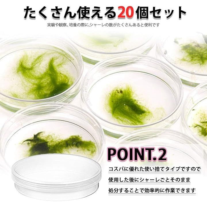 ffffcde1f15ffffff1fcc31ec37fc19f479fff8fff7fe0ffce8fffa3deafffff0000000012291f122e1e1e1009000b47