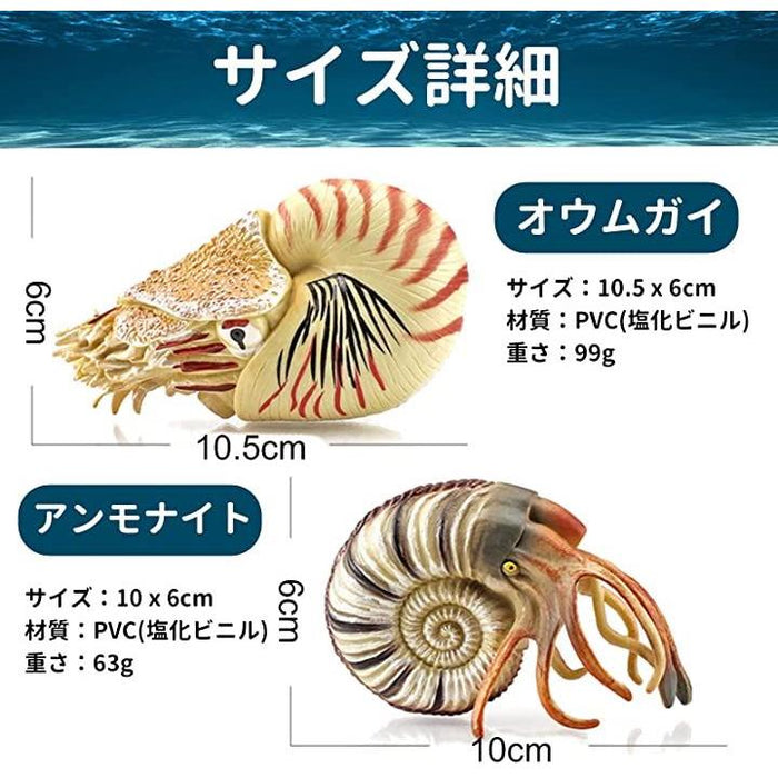 オウムガイ フィギュア アンモナイト 貝殻 おもちゃ 6＋ オウムガイ＋アンモナイト＋ダンクルオステウス