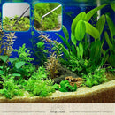 a6007a80fc107a90285c62200200f080c88011808300cb2827a758f88400ffff5799984f9229f5394e44243b32404534