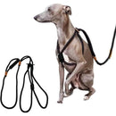 fffffffffe1ffc1fff9fff87ff87ff83f382db83fb83f383fbb3fabfe8fff7ff0000000000000000000000100000000e