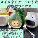 ffffffffe0fffdfffc00e41ffc1f781f70077701cf200b201b80ffc0ffc4ffc0