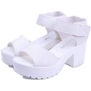 ff9ffe03fc01fe00ff00ff00fe019a019e01077b023310238023c03fe03ff07f