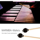 03fc0000004000580fb800d801f81ff003800000ffffffdfbcdfff7fff3fffff0000e5f700e6f7fa0000020e00000000