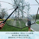 fcbffe3ffc3cfe3ff53faf9f0f37058000008000001000000004ffffffffffff9290959579ab89902139638b09444609