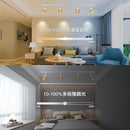 ffffffff6ffb4ff3cff34ff30c2109b89e00ee00f000f800f800f800f900f0001617149e171a17981515ab949c93ebab