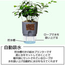 fffffdbff83fe01ffffffe7ffc3ffc3ffc3ffffdfc7fffffffffffffff27effd