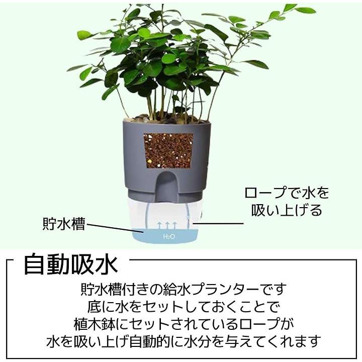 fffffdbff83fe01ffffffe7ffc3ffc3ffc3ffffdfc7fffffffffffffff27effd